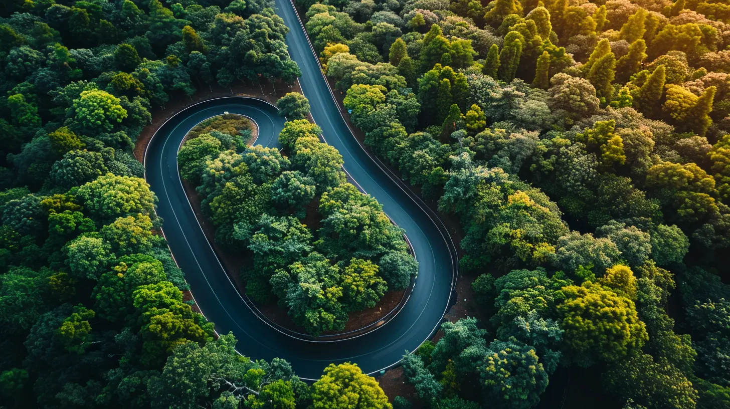 Creating a Roadmap for Sustainable Business Development