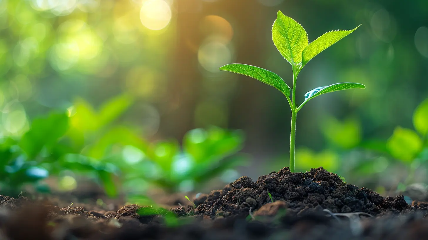 Successful Crowdfunding Campaigns: Case Studies and Insights