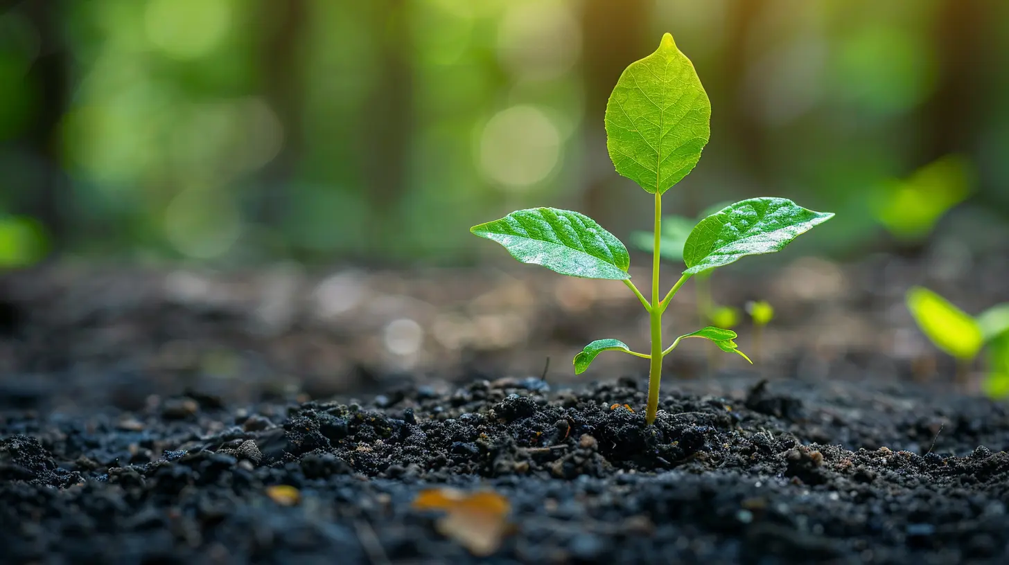 The Power of Authentic CSR Communication in Building Public Trust