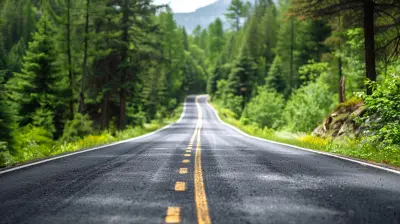 Creating a Roadmap for Sustainable Business Development