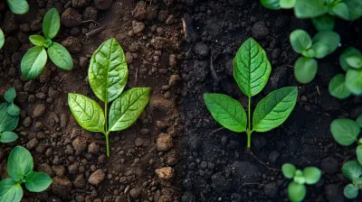 Greenwashing vs. Genuine CSR: How to Tell the Difference