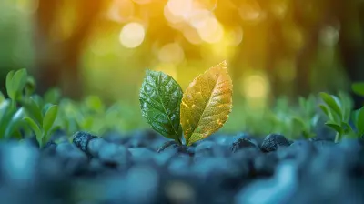 Greenwashing vs. Genuine CSR: How to Tell the Difference