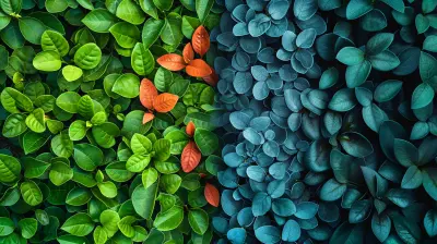 Greenwashing vs. Genuine CSR: How to Tell the Difference