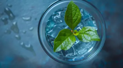 The Connection Between Analytics and Sustainable Business Practices
