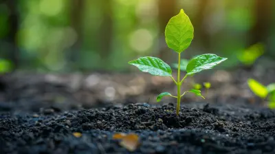 The Power of Authentic CSR Communication in Building Public Trust
