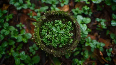 The Rise of Crowdfunding for Green and Sustainable Businesses