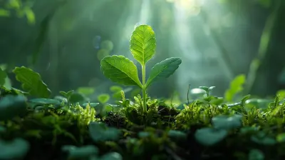 The Rise of Crowdfunding for Green and Sustainable Businesses