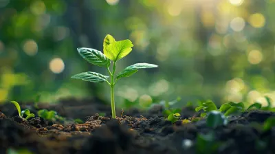 The Rise of Crowdfunding for Green and Sustainable Businesses