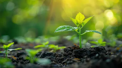 The Role of CSR in Enhancing Brand Loyalty