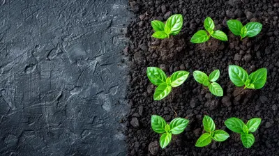 Why CSR is No Longer Optional in the Global Marketplace