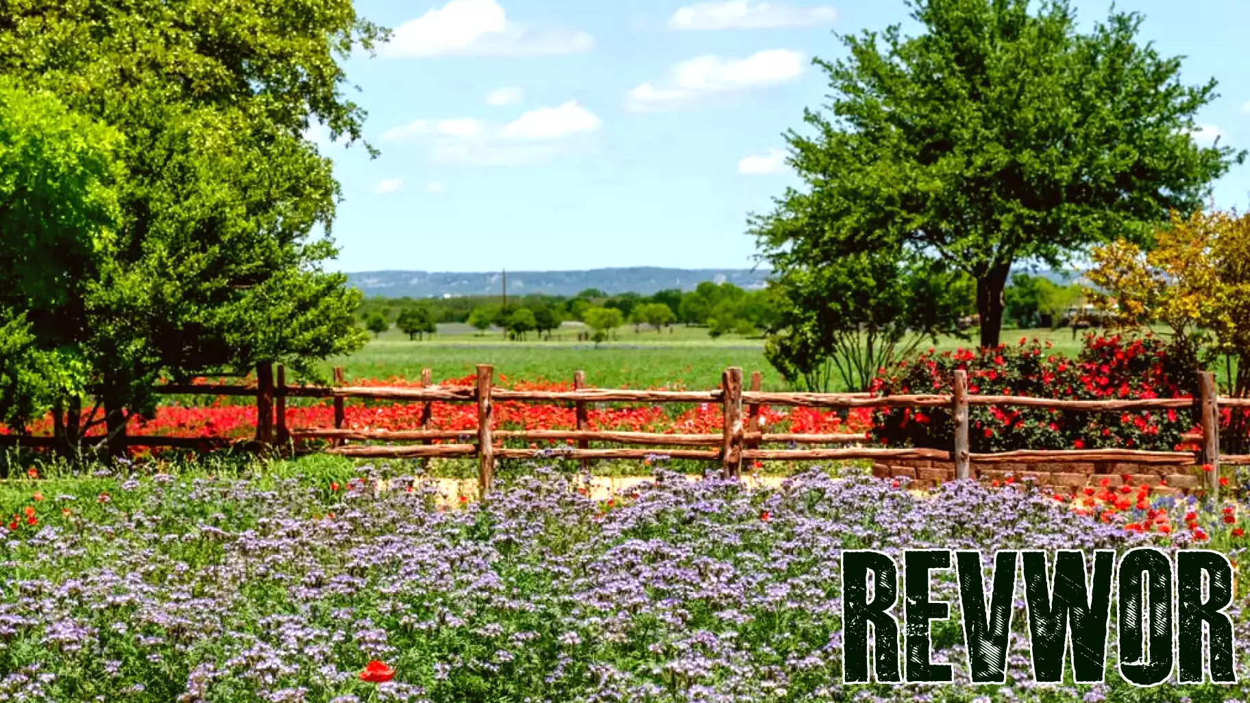 Discovering Fredericksburg: A Hidden Gem in Texas