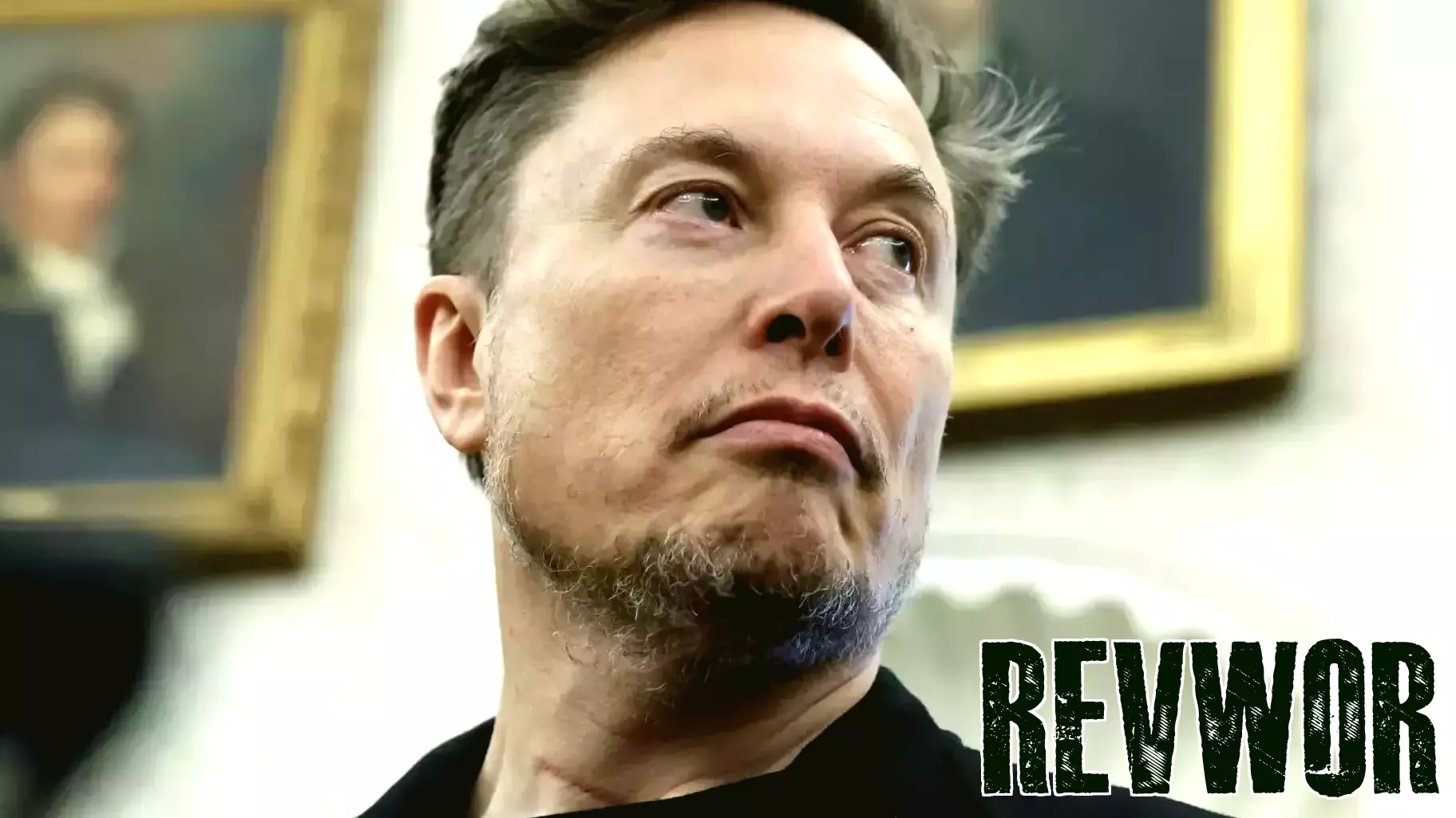 Elon Musk's Business Ventures Flourish Amid Political Landscape