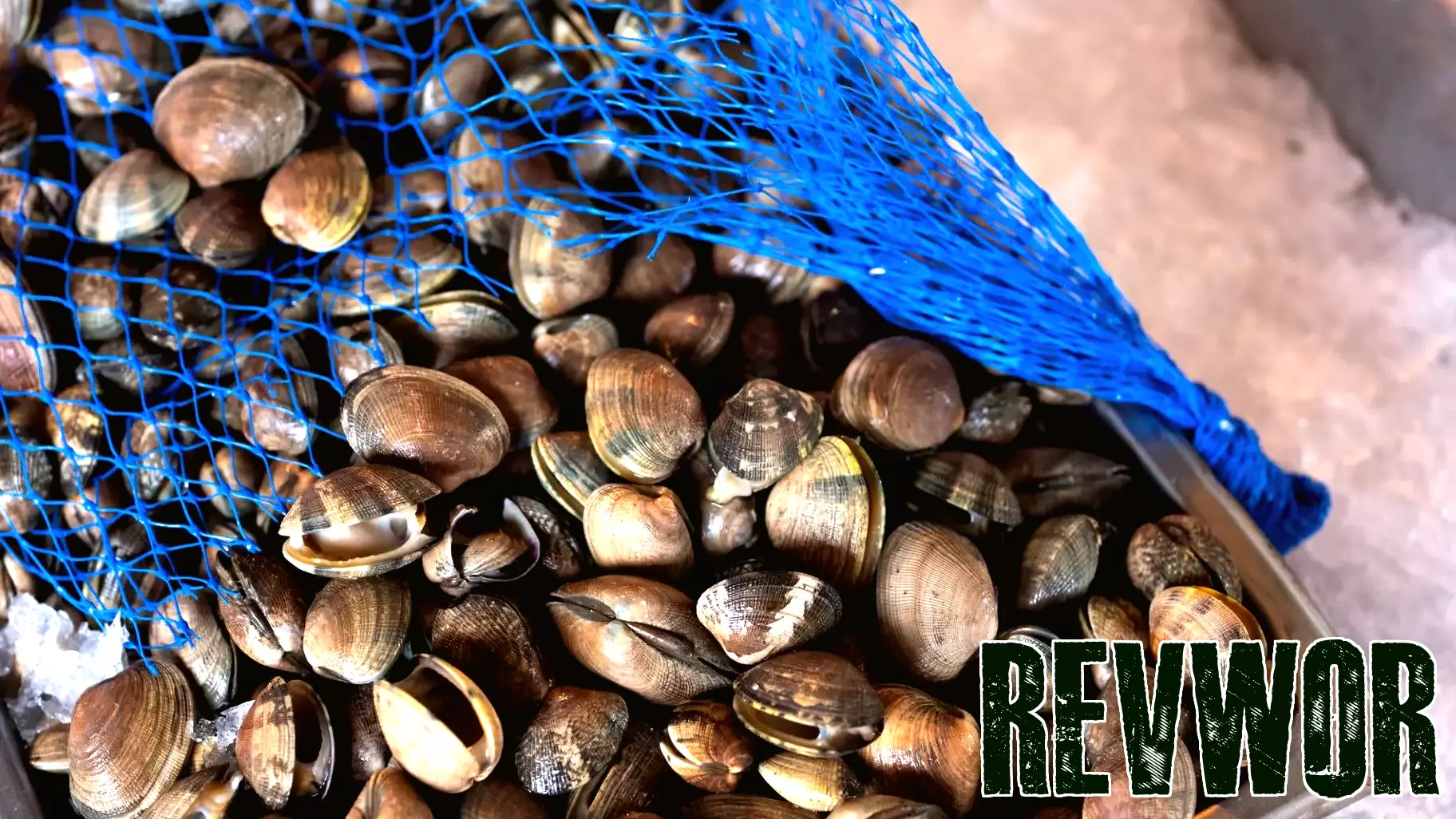 FDA Takes Action Against Chinese Seafood Companies Over PFAS-Contaminated Clams