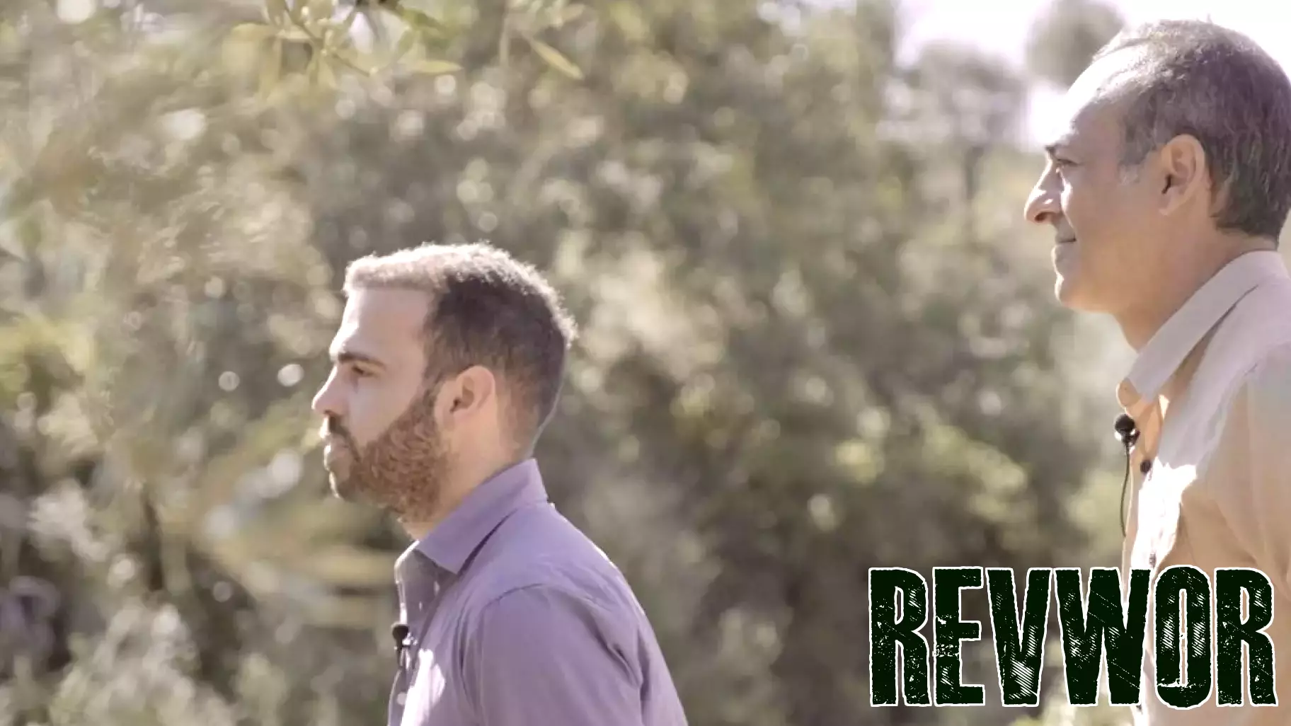 From Tech Entrepreneur to Olive Oil Producer: A New Life in Portugal