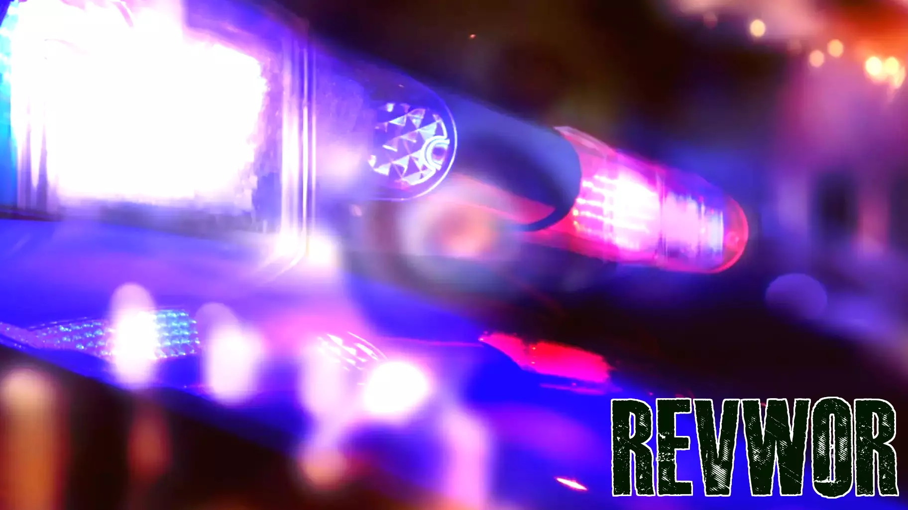 Homeland Security Conducts Arrest at Brooklyn Park Business