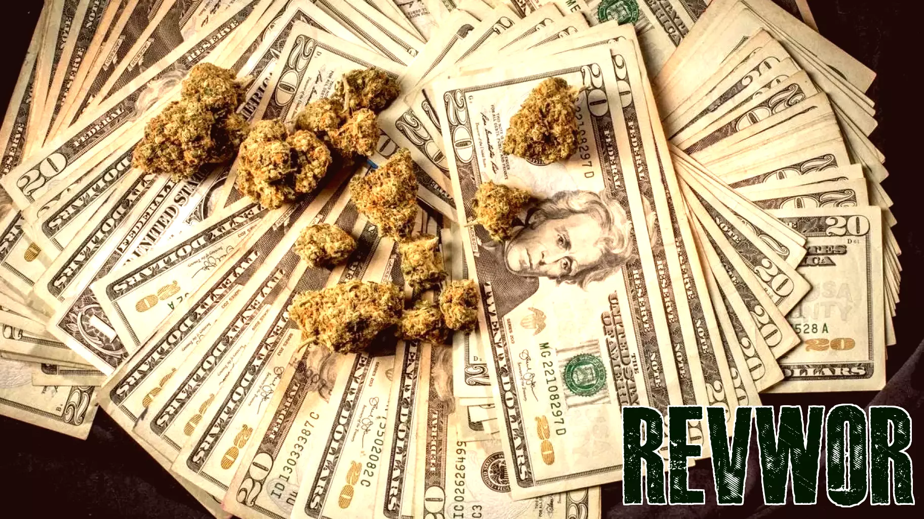 Senate Introduces Bill To Shield Insurers Covering Cannabis Businesses
