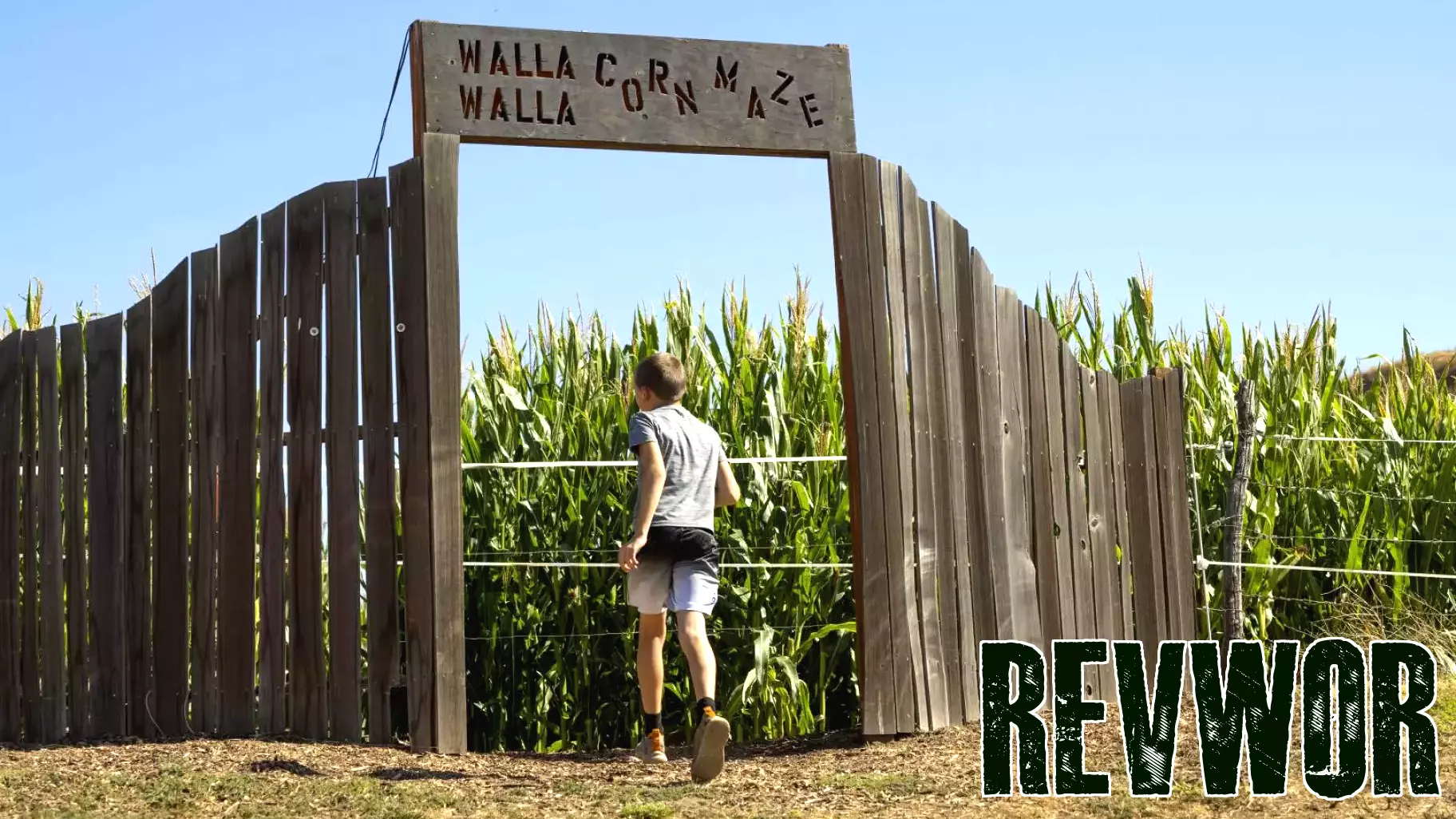 Walla Walla Corn Maze Set to Open for Fall Season on September 26