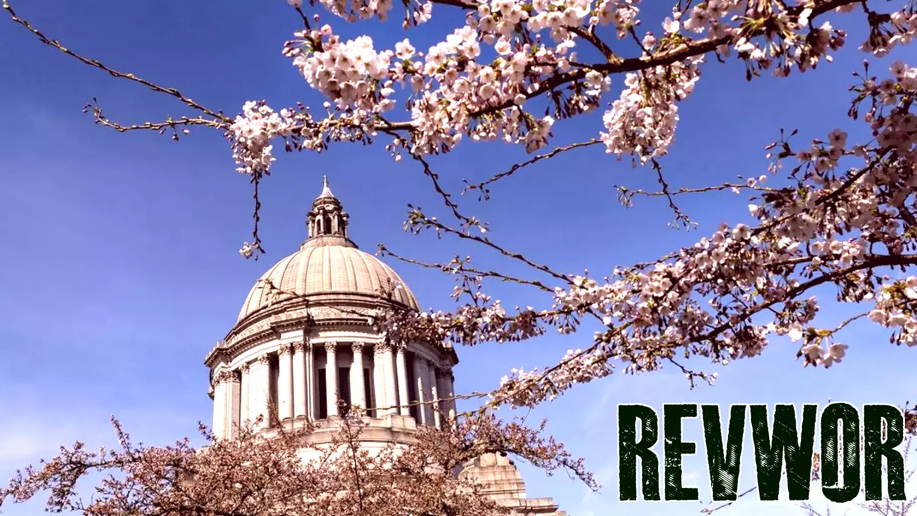 Washington's Proposed 