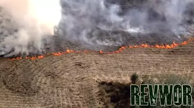 Brush fire burns near Hillsborough County RV business