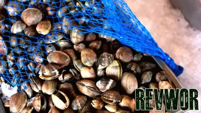 FDA Takes Action Against Chinese Seafood Companies Over PFAS-Contaminated Clams