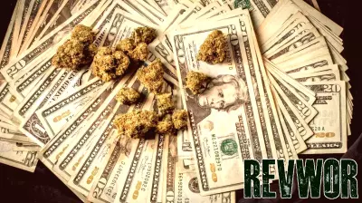 Senate Introduces Bill To Shield Insurers Covering Cannabis Businesses