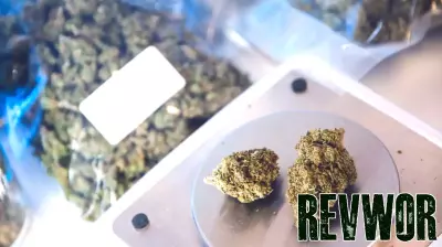 State of Texas: Smokable hemp ban takes effect, businesses work to adapt