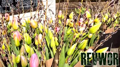 Tariffs sour Valentine’s for North Carolina's small business entrepreneurs